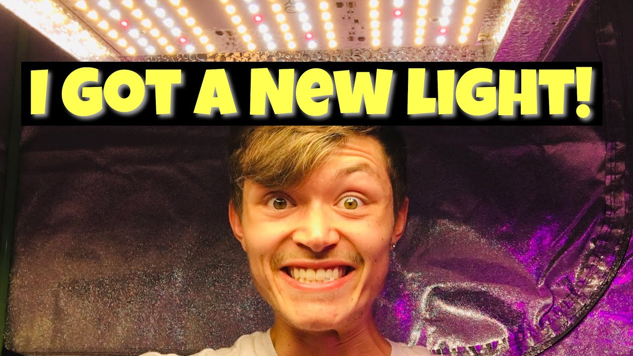 Mars Hydro TS600 LED Grow Light - I Got A New Light! Time To Redeem Myself!