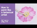 How to paint like a botanical artist