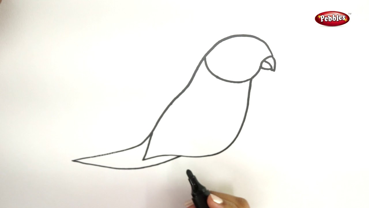 Drawing Step By Step | How to Draw a Parrot | Learn Drawing For ...