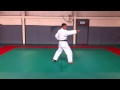 Karate  takyoku shodan ou la cause premire karateblognet