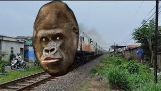 Wweeee.... Kereta Api Berubah Jadi Gorilla