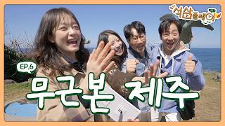 A No-Plan Jeju Trip of Just Eating, Playing, and Sleeping 🍊 screenshot 3