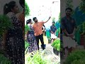 yem jarigindi yem jarguthundhi #youtubeshorts #funnyvideo #telugu #youtube #comedy #sunday