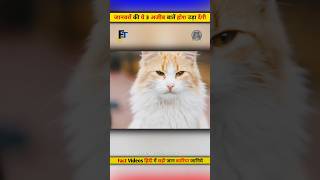 जानवरों की 3 अजीब बाते| #shorts #viral #facttechnology #animals