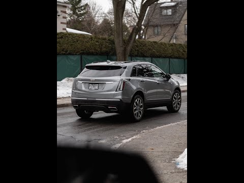 Winter Drives in