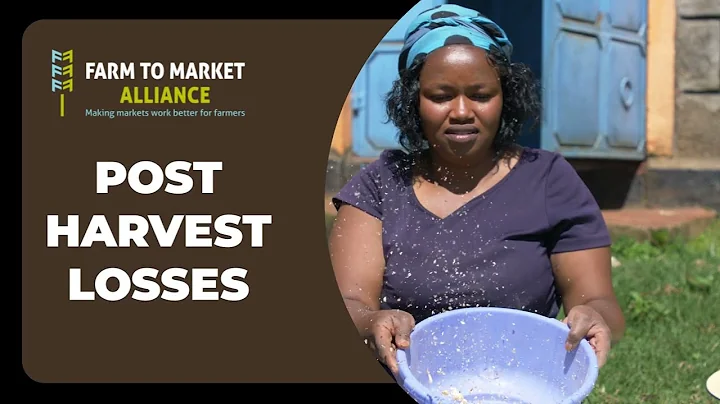 Smallholder Farmers Training on Post Harvest Losses