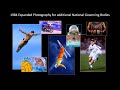 Dave Black - - WAS 2024 Legend (Golden Achievement Award)