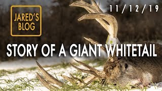 Jared's Blog: Mystery Giant Buck Dead, 10 Yard Ground Encounter