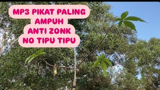 MP3 PIKAT BURCIL PALING JITU ANTI ZONK
