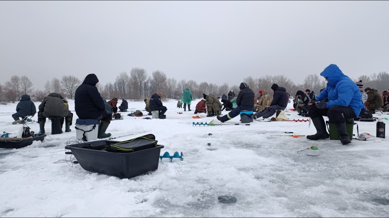 Риба не лізе в ЛУНКУ! Там вона ТОННАМИ стоїть! Ловили МІШКАМИ і карасів і САЗАНІВ!
