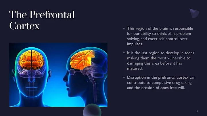 Drug Addiction & the Brain with Audio