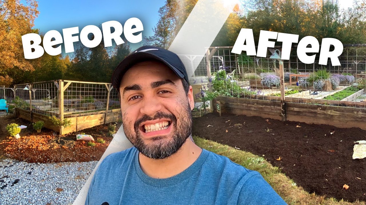 Unbelievable Transformation: Flower Bed Before and After Mulch