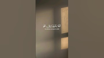 ياسر الدوسري | #سورة_المائدة #قرآن #القرآن_الكريم #قران_كريم #quran