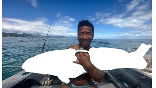 Fishing Thames and coromandel farm Nz