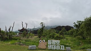 동정호 영상