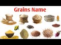 20 Grains Name in English and Hindi | अनाजों के नाम | Kids Learn
