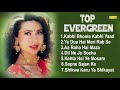 Evergreen Melodies | 90'S Romantic Love Songs | Alka Yagnik | Kabhi Bhula Kabhi Yaad Kiya | Karishma Mp3 Song