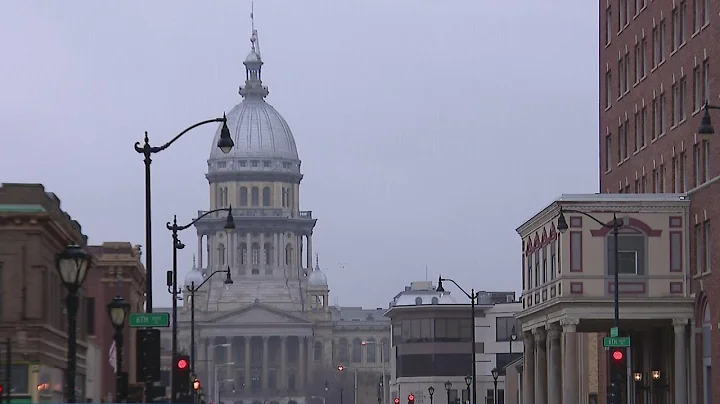 Illinois State Senate passes assault weapons ban