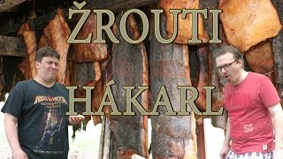 ŽROUTI - Hákarl (islandský shnilý žralok)