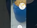 خل تفاح طبيعي بدون اي اضافات لاماء ولا مواد حافظة و لا حمض الخليك خل تفاح طبيعي بدون اي اضافات لاماء ولا مواد حافظة و لا حمض الخليك