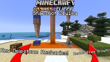 New Dripstone Mechanics And Azalea Tree Growth! Minecraft 1.17 Snapshot 21w16a