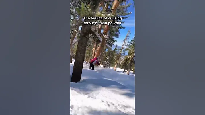 Untitled video