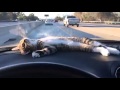 Cat rests on car dashboard during drive