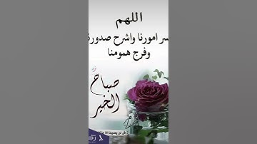 حالات واتس قرآن كريم تيك توك وأدعية أسلاميه حالات انستقرام دينية قصيره