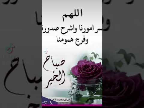 حالات واتس قرآن كريم تيك توك وأدعية أسلاميه حالات انستقرام دينية قصيره 
