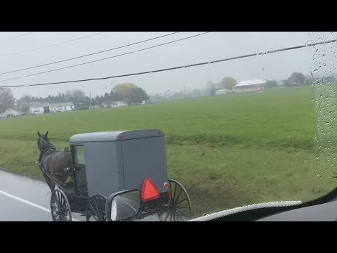 მართალი კაცი ხაარ?.. კითხვები და პასუხები(ნაწ.10)