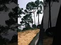 Hum jo chalne lage….#mountains #hill #hillstation #travel #traveling #shortvideo #shortsviral#shorts