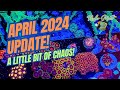 April 2024 reef tank updates a little bit of chaos