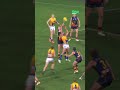 This kid is something else afl harleyreid