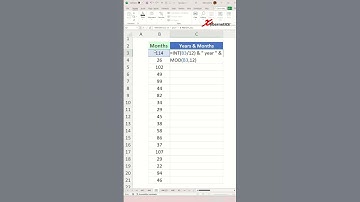 Tip445 Convert Number of Months Into Years and Months in Excel FINAL SHORT