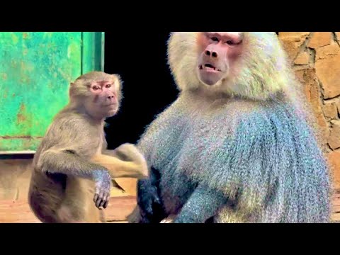 ОЙ ЕЙ ЕЙ! По моему у Елисея и Люси скоро БУДУТ ДЕТИ!!!