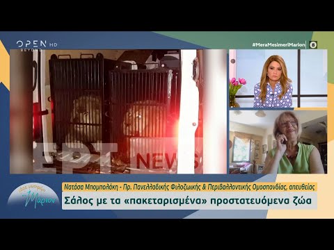 Σάλος με τα