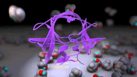 Its raining drugs.  MoDynamics Simulation