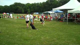 Team The Force Unleashed Raven, The Force, Bonus