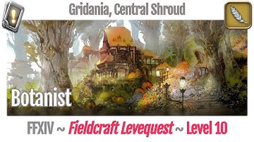 FFXIV Botanist Leves Level 10 - Gridania, Central Shroud - A Realm Reborn