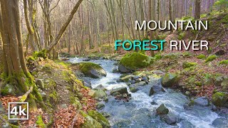 1 Hour Mountain River Pleasant Sounds, No Bird Songs