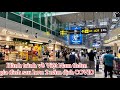 Hành Trình Từ SINGAPORE về VIỆT NAM Thăm Gia Đình sau hơn 2 năm dịch COVID