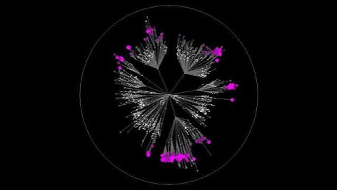 Computer Simulation of the spread of a pandemic