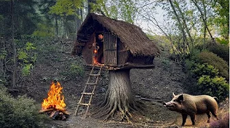 Building a Mini Clay Hideout on an Old Stump for Bushcraft Survival