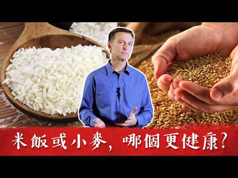 米飯小麥,哪個更健康?柏格醫生 Dr Berg