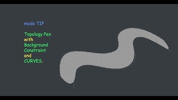 modo TIP : Topology Pen with Background Constraint and CURVES.
