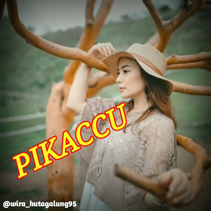 Story Wa Dj Pokemon || Literasi 30 Detik || Quotes Literasi