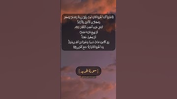 سورة الحديد الآية ٢٠ بصوت الشيخ محمد صديق المنشاوي