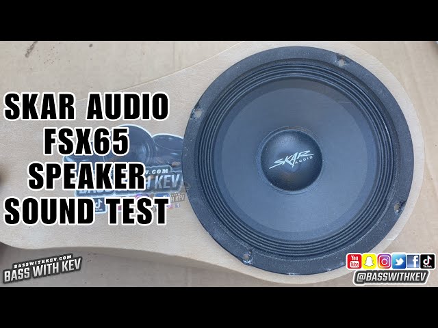 IS THE SKAR FSX65 THE BEST BUDGET PRO AUDIO SPEAKER? - YouTube