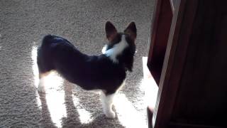 Sherlock and his fascination with floating dust