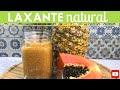 LAXANTE NATURAL - Licuado de papaya y piña | Cocina de Addy